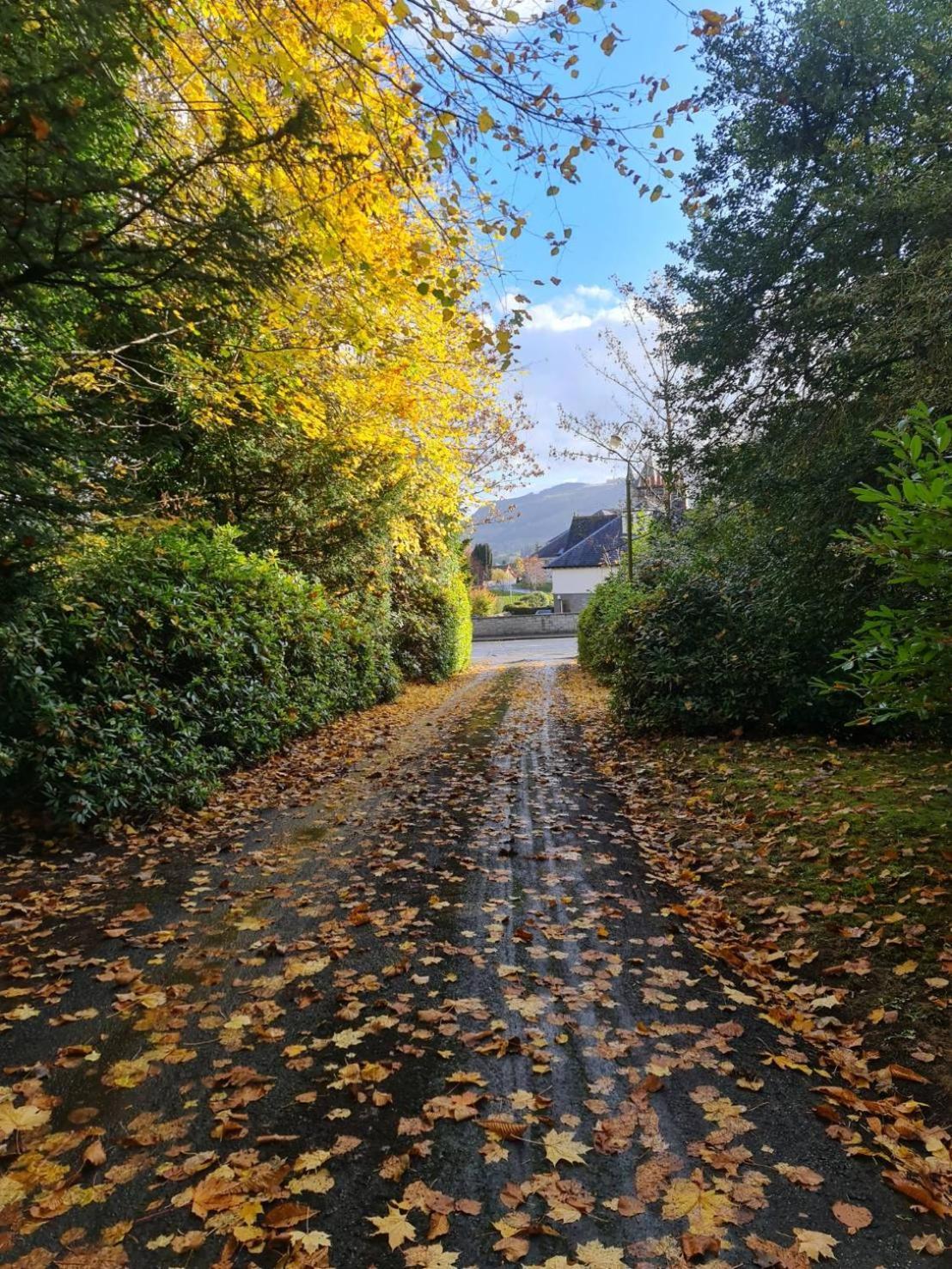 Hotel Wellwood Manor Pitlochry Exteriér fotografie